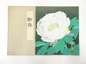 橋口幾三郎筆　牡丹図　肉筆色紙